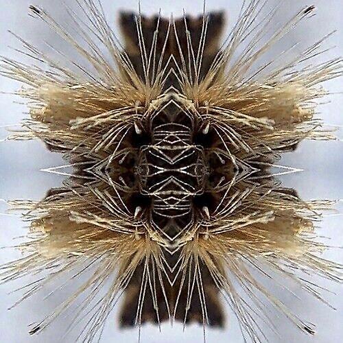 Yakuza : Sutra CD (2023)