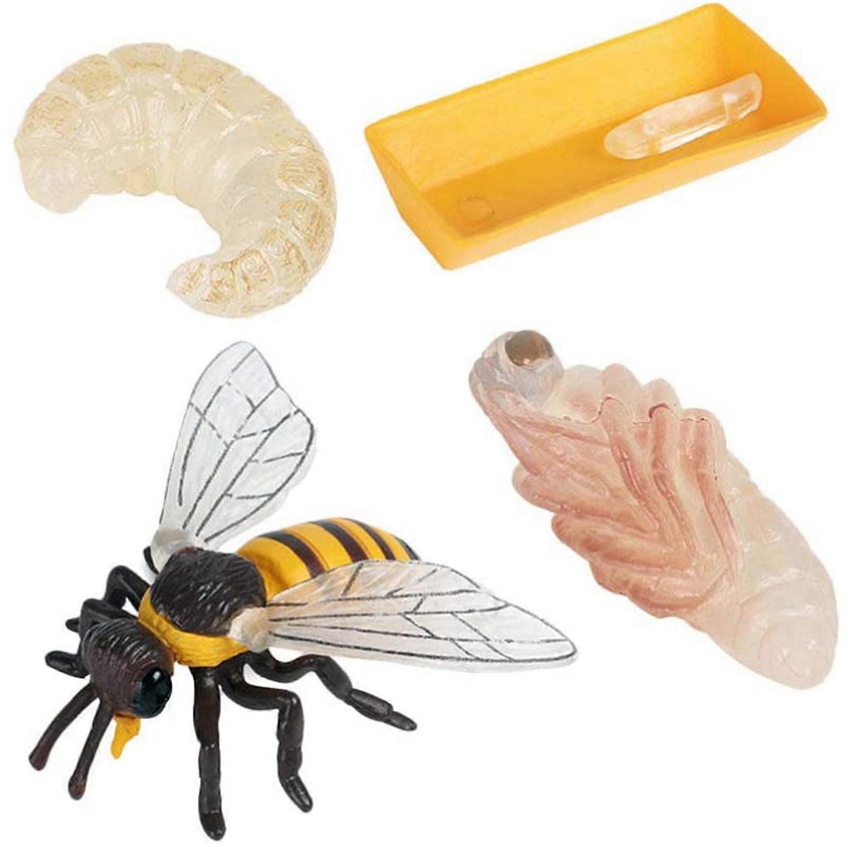 Pack of 4 Insect Figurines Life Cycle of Realistic Insects Figures Toys Educational Science Model T