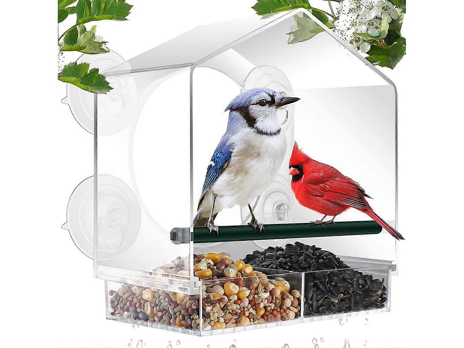 Acrylic Transparent Window Bird Feeder with 4 Suction Cups
