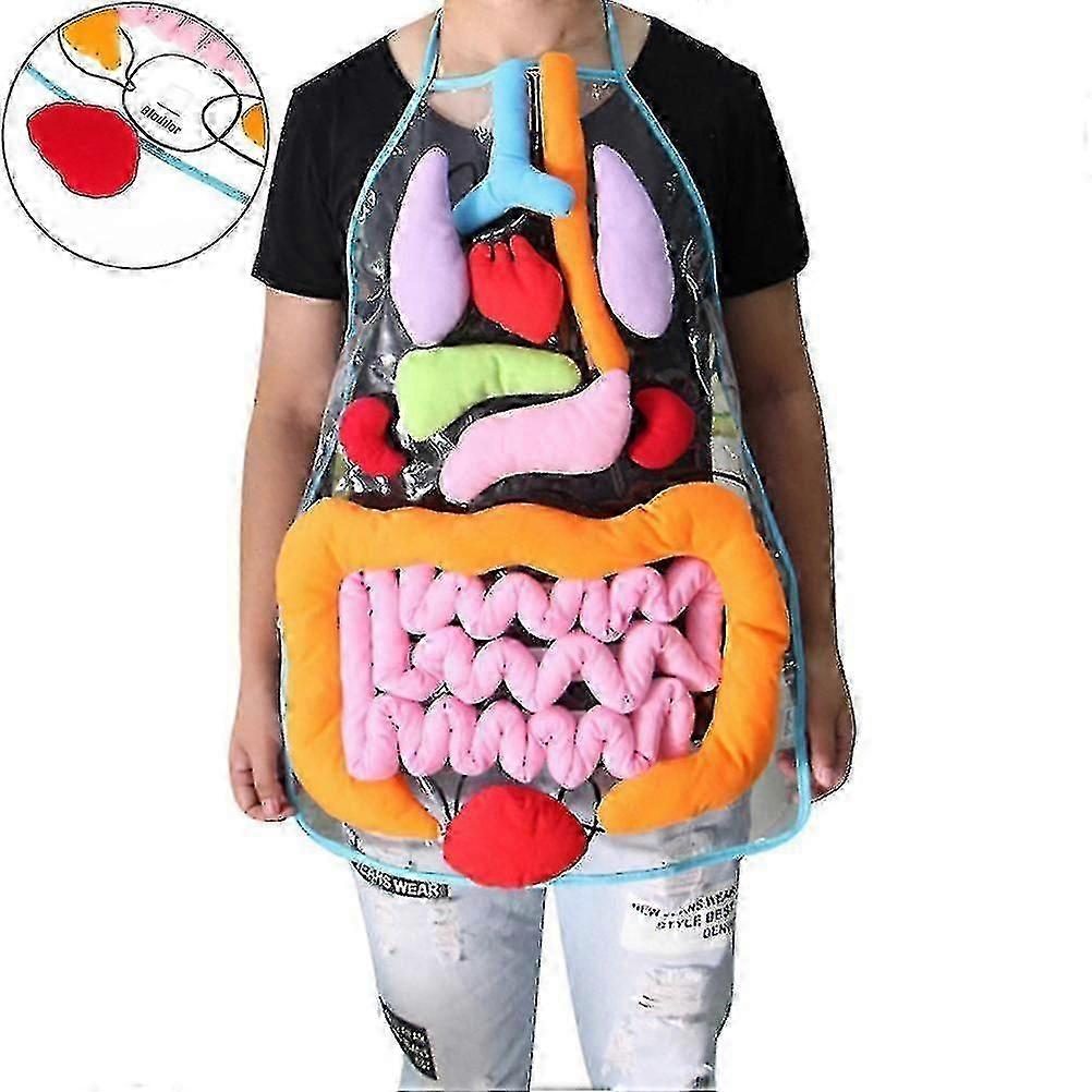 解剖学エプロン 人体 臓器 意識 教育的洞察 子供 Toy_om