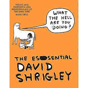 What The Hell Are You Doing? The Essential David Shrigley
