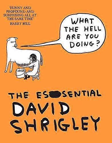 What The Hell Are You Doing? The Essential David Shrigley