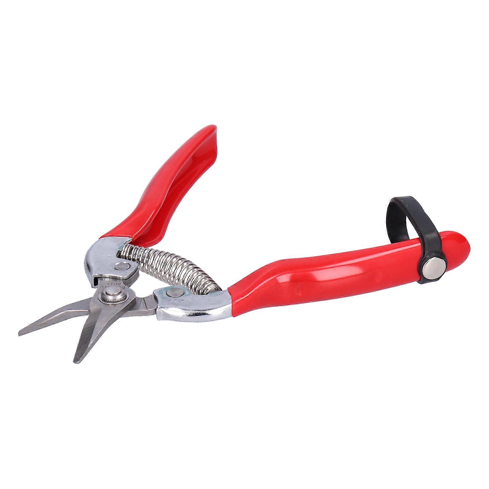 Scissors Fruit and Flower Picking Shears for Pruning Flower Branches and Gardening Pruning