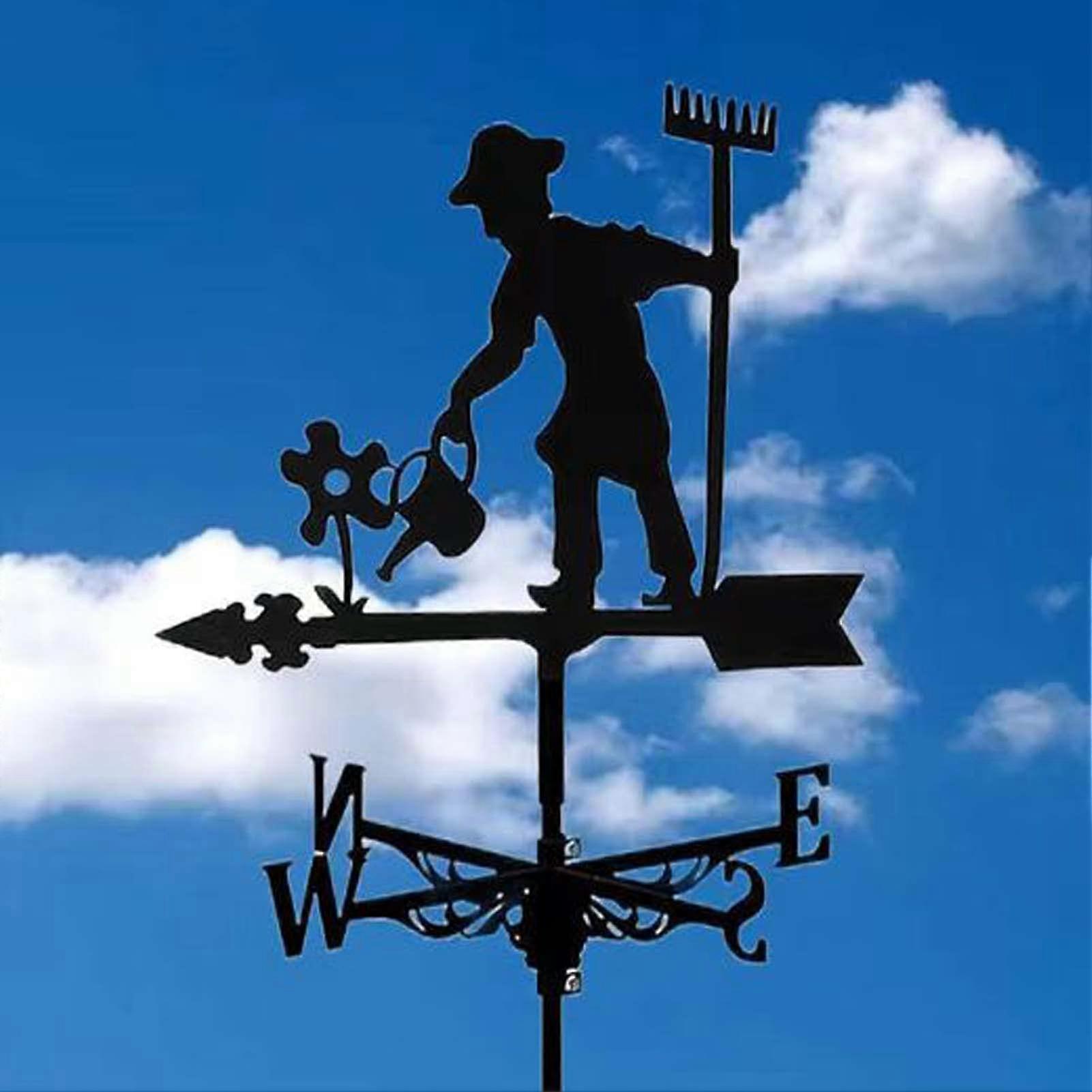 Weather Vane for Roof 8 Inch Retro Farm Style Wind Direction Indicator for Outdoor Decoration and Home Accents