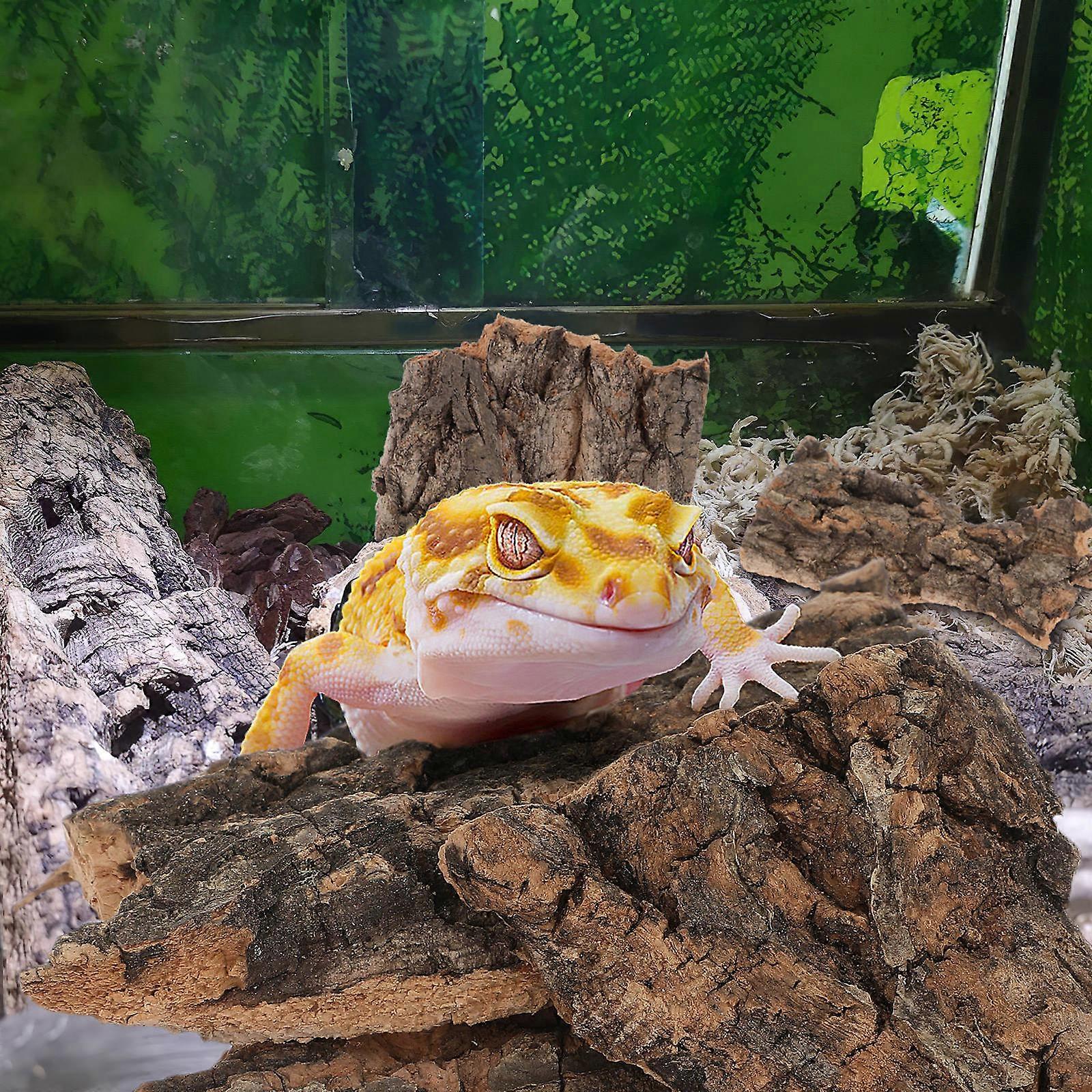 10Pcs Reptilienbaum Rinde Eidechse klettern Baumrinde Reptil Sonnenplattform Reptilienplattform