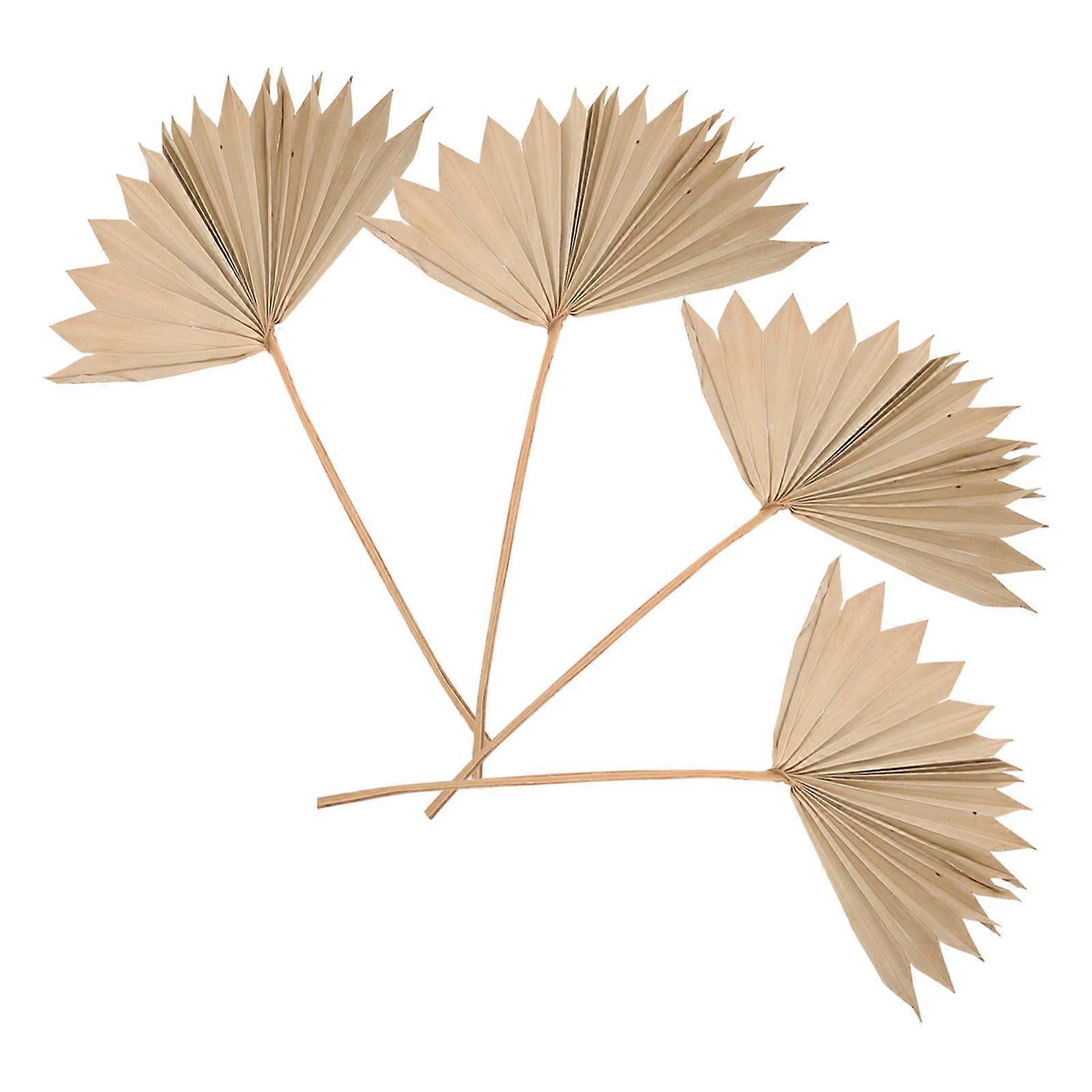 4Pcs Beige Dried Palm Leaf Props for Decoration Wedding Setup