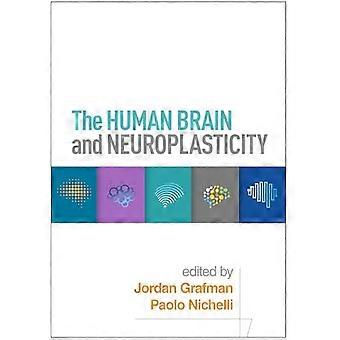 The Human Brain and Neuroplasticity