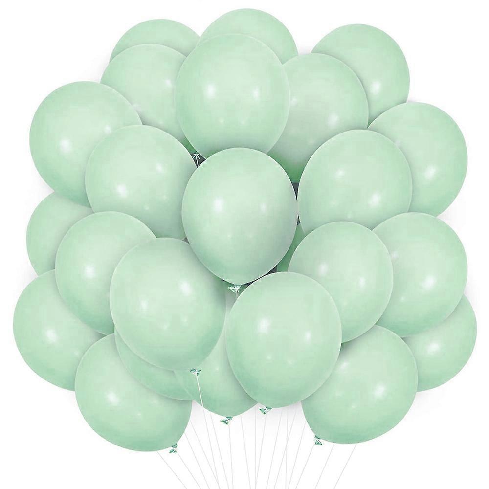 Nature-Inspired Matte Latex Balloons