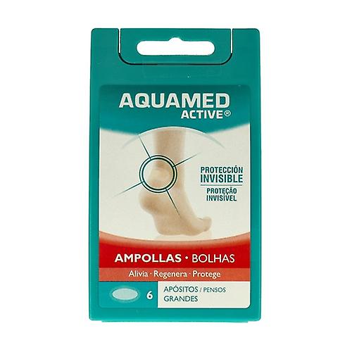 Large Ampoule Dressings 6 units