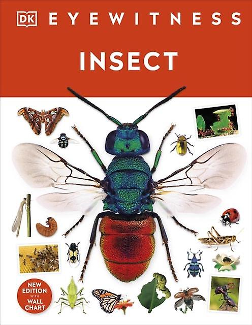 Insect by DK Paperback Book