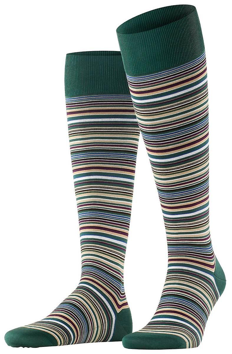 Falke Microblock Knee High Socks - Hunter Green