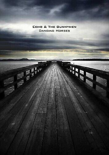Echo and the Bunnymen Dancing Horses DVD (2007) cert E - Region 2