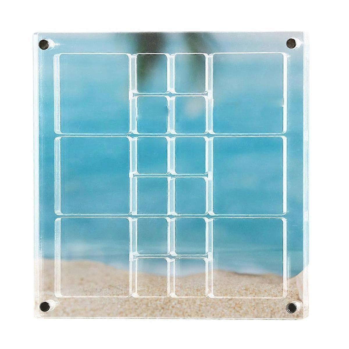 Magnetic Seashell Display Box, Seashell Storage Box Decorative Box for Seashell Starfish Trinket, B