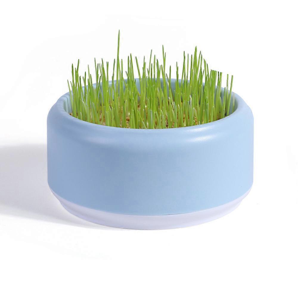 Your Plant Growing Kits Cat's Own Grass with This Reusable Hydroponic Planter Kit Horticultural Flowerpots ing Bags For