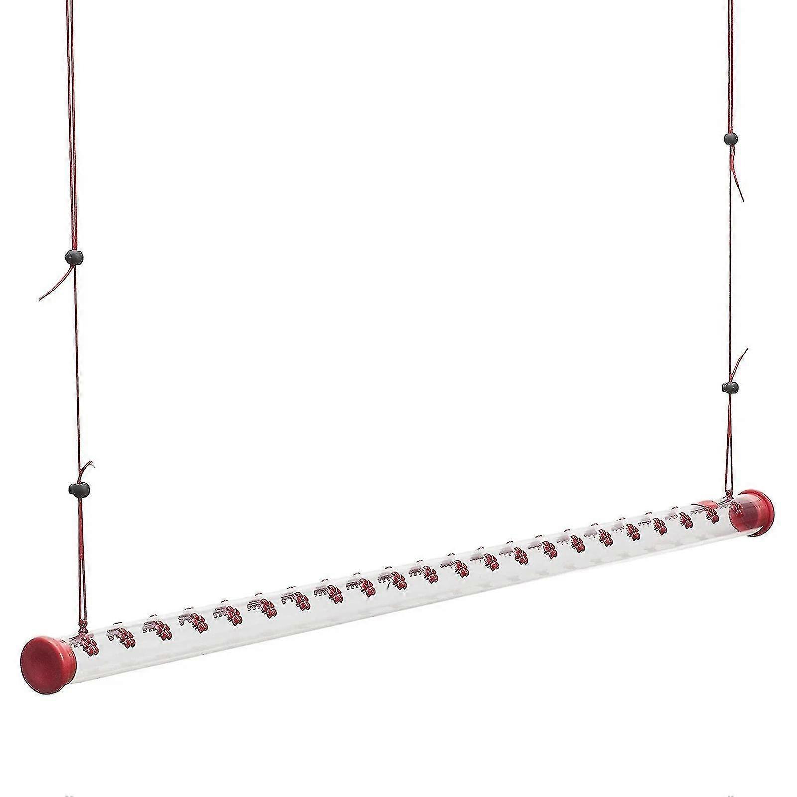 Bob's Best Hummingbird Feeder Bird Feeder With Bright Red Transpare...