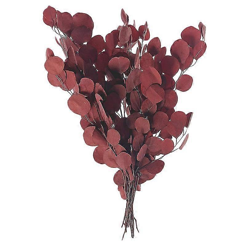 Eukalyptus Getrocknete Blüten Künstliche Eukalyptusblätter Blühen Getrocknetes Bouquet (rot)