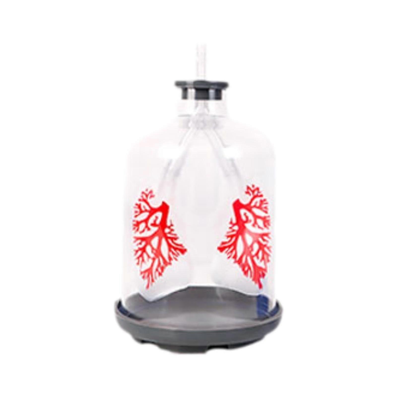 Lung Breathing Demonstration Model Lung Respiration Model for Children Teens red