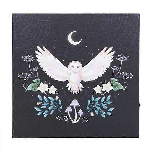 Something Different Night Owl Light Up Canvas