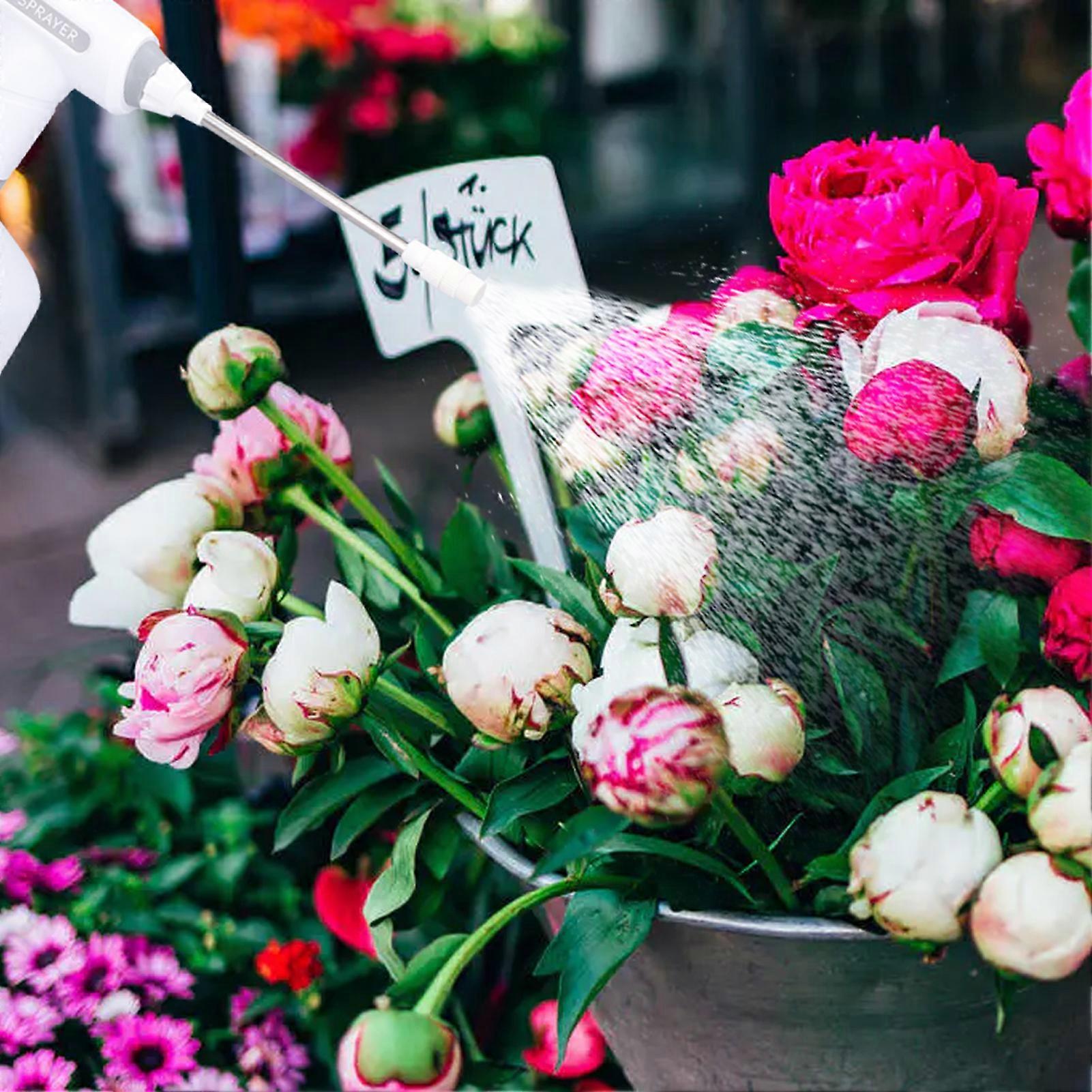 Electric Watering Can Rechargeable Hand Held Automatic Spray Bottle with Adjustable Spout for Home Garden2.5L 