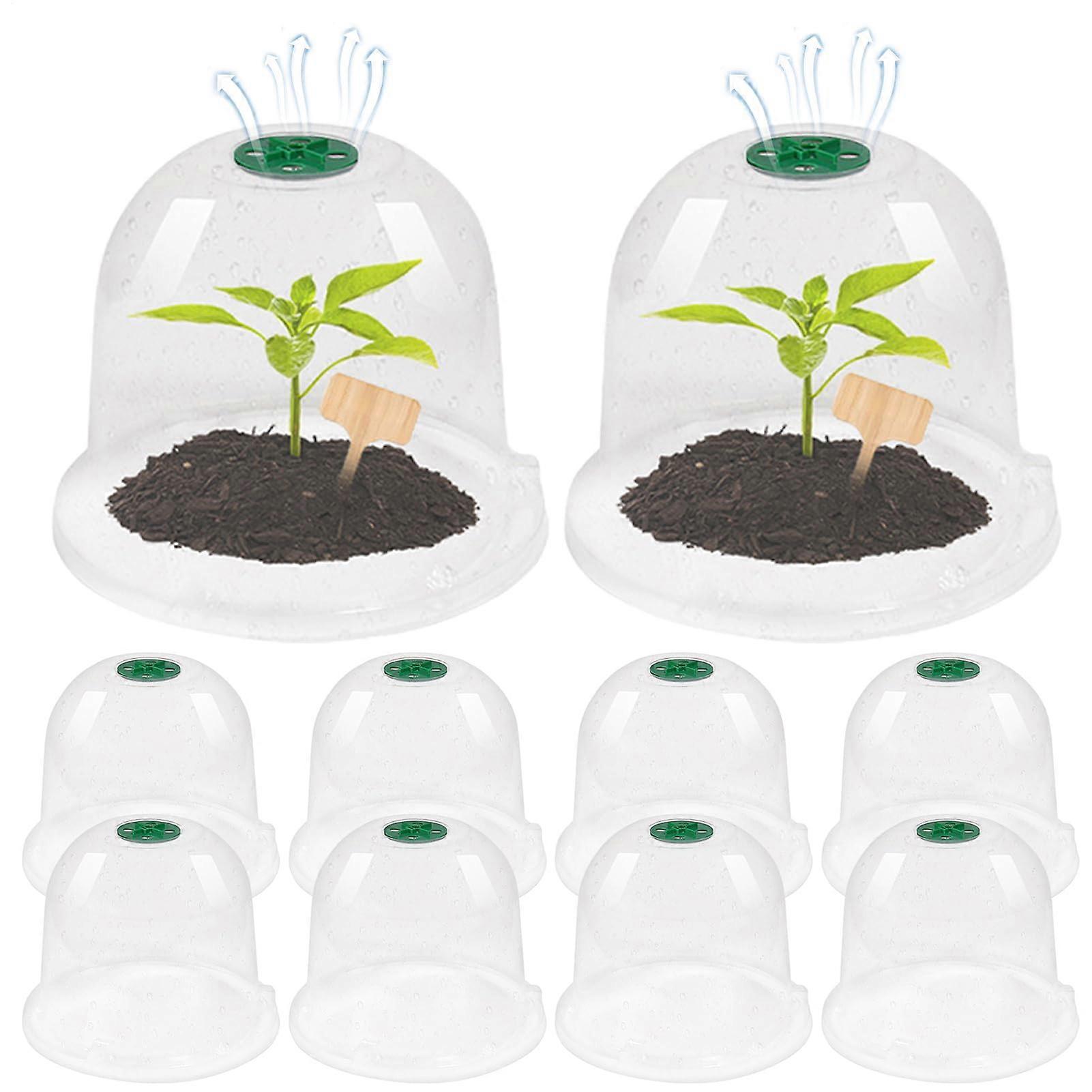 Plant Dome 10Pack Garden Cloche Dome Propagation Transparent Adjustable Cloches For Plants Seedling Growth Observation