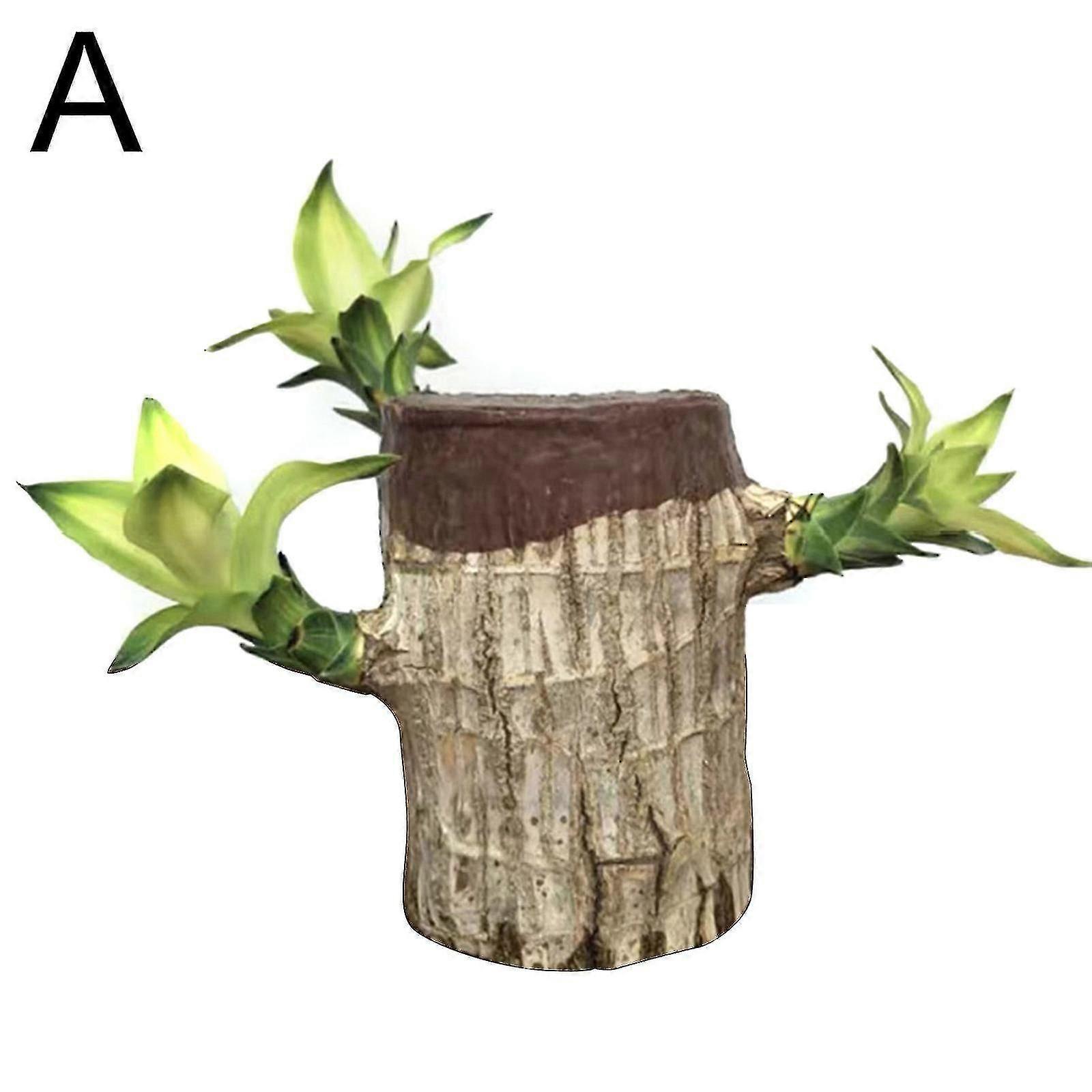 Groot Lucky Wood Hydroponic Plant Grow Kit for Modern Home & Office Decor