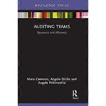 Auditing Teams Dynamics and Efficiency