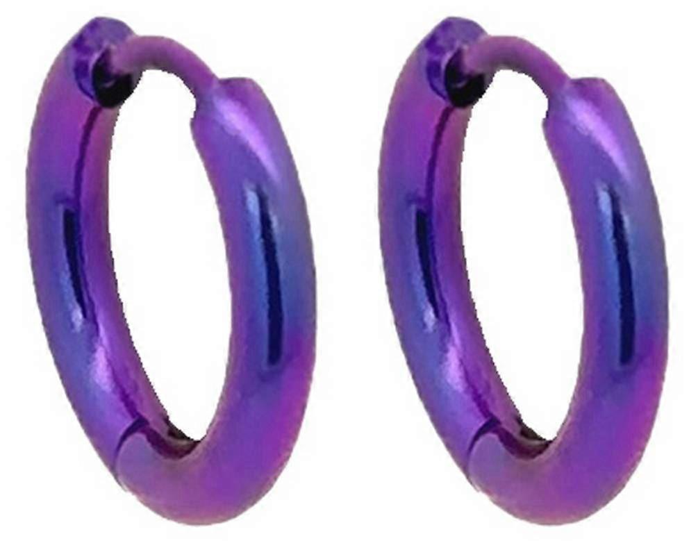 Ti2 Titanium Small Round Hinged Hoop Earrings - Purple