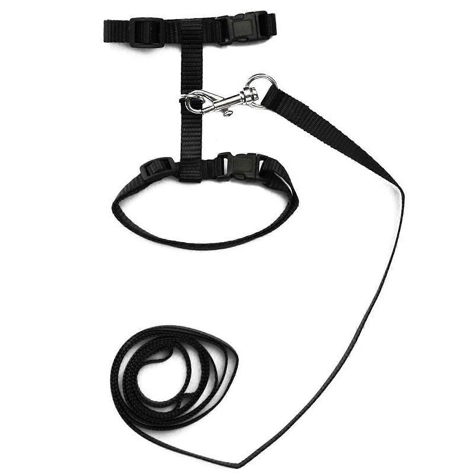 Cat Harness And Leash Nylon Products For Animals Adjustable Pet ... - Stress-Relieving Cat Harness