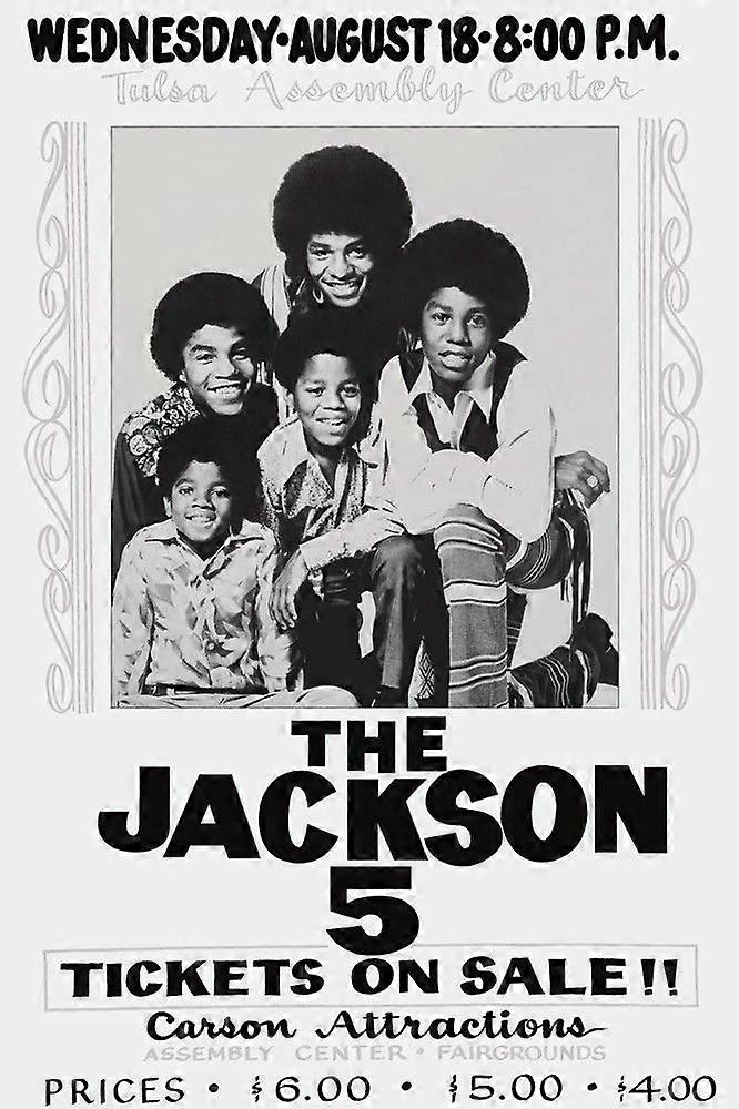 El rompecabezas Jackson S0806