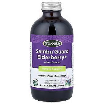 Flora, Sambu Guard® Elderberry+ with Echinacea, 8.5 fl oz (250 ml), 2-Pack