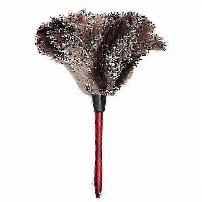 Anti-Static Ostrich Feather Duster