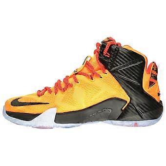 Nike LeBron 12 'CLE' 684593-830