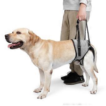Dog Harness for Back Legs Puppy Harness with Lift Handle Dog Harness Large Dog Adjustable Dog Harnesses for Pain Relief Rehabilitation Surgeries
