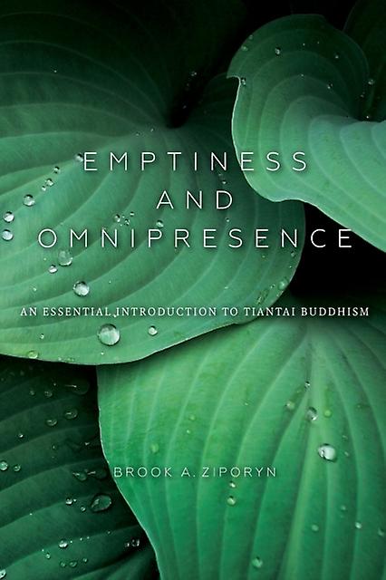 Emptiness And Omnipresence by Brook A. Ziporyn Paperback Book