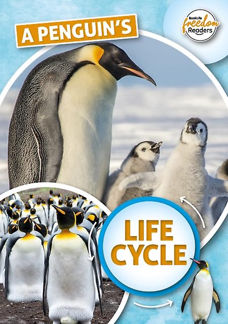 A Penguins Life Cycle by Madeline Tyler Paperback