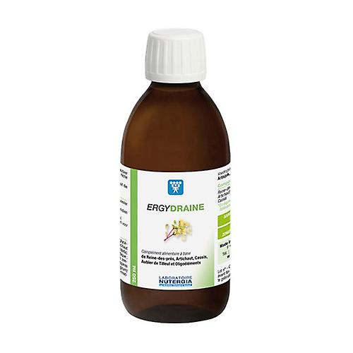 Ergydraine drainage 250 ml