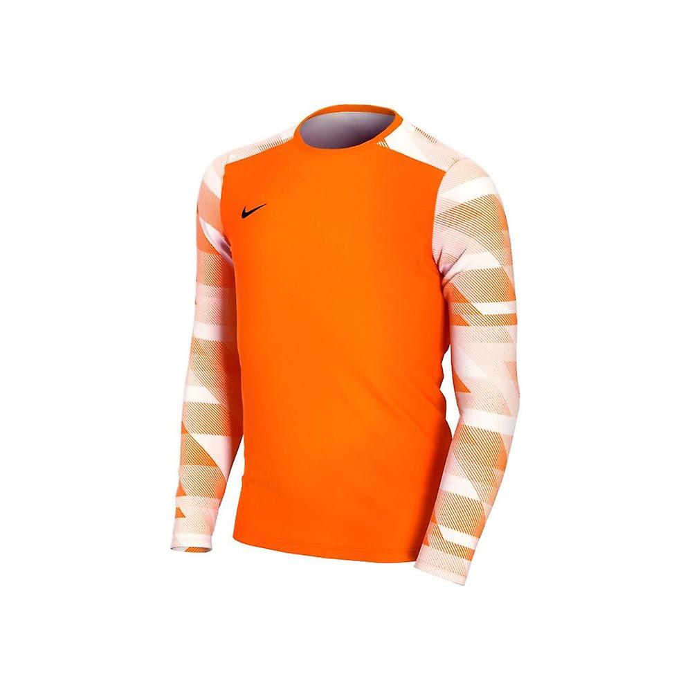 Nike JR Dry Park IV CJ6072819 football all year boy