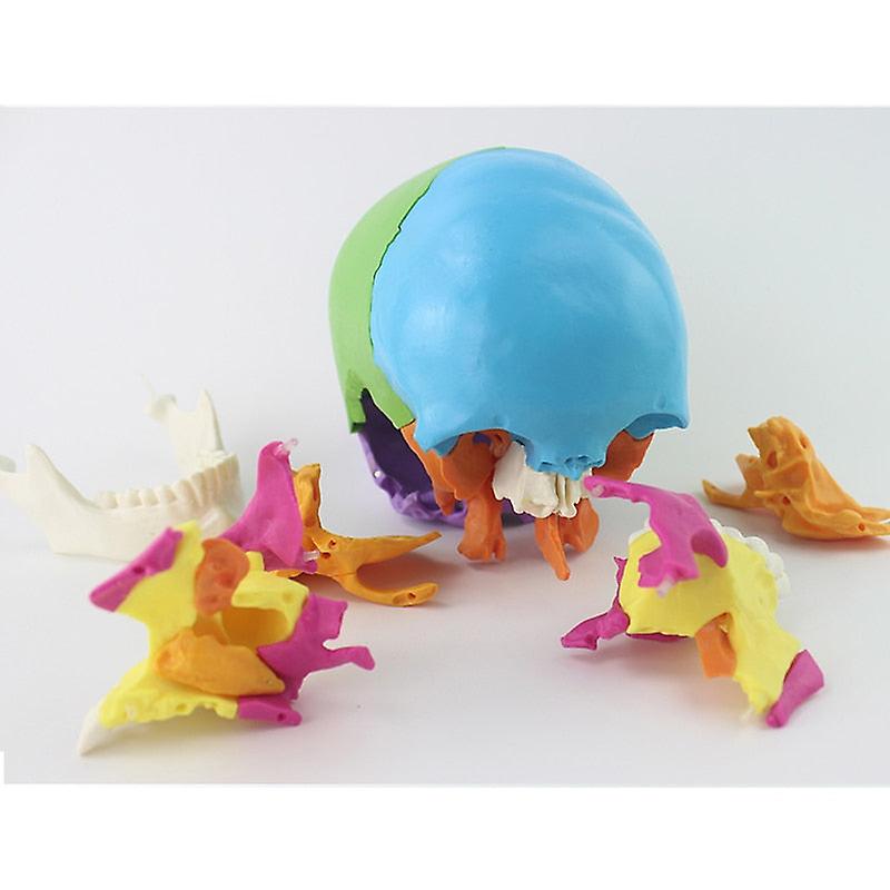 22 parti 1:1 Lifesize smontato cranio testa modello di anatomia modello di anatomia medica