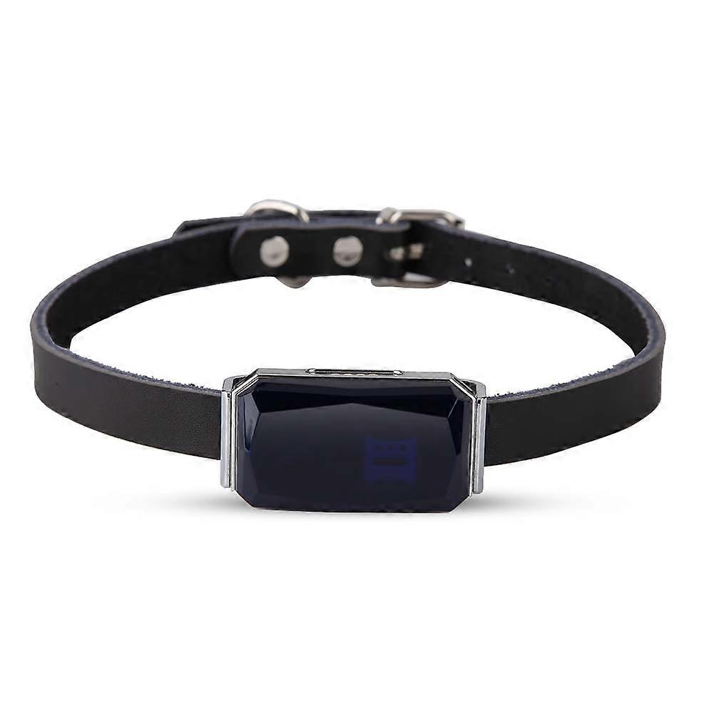 Waterproof Puppy Dog Mini Tracking Anti Lost GPS Tracker Pet Collar(Blue)