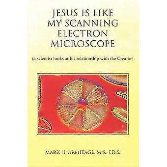 Jesus is like my Scanning Electron Microscope a scientist looks at his relationship with the Creator