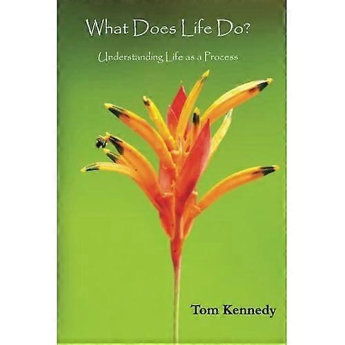 What Does Life Do?: Understanding Life As a Process