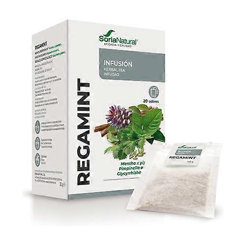 Regamint Infusions 20 infusion bags