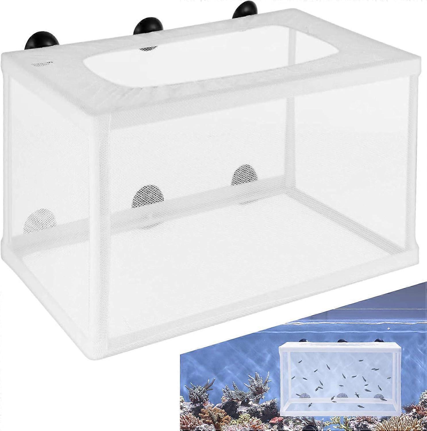 Fish hatching isolation box