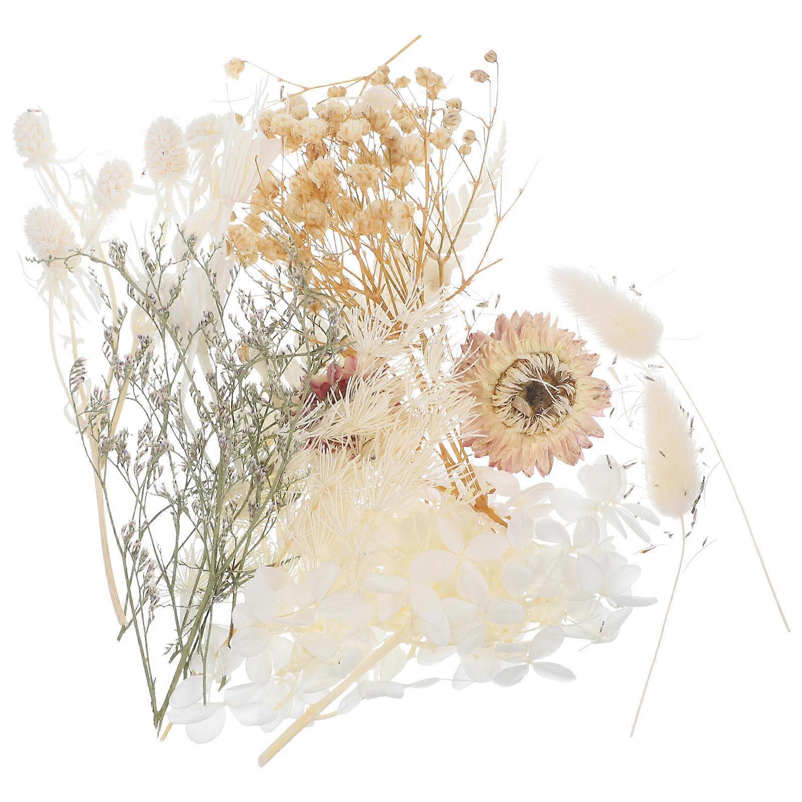 Dried Pressed Flowers Bulk Elegant Mysterious Colors Diy Material For Envelope Decorations 1 Set