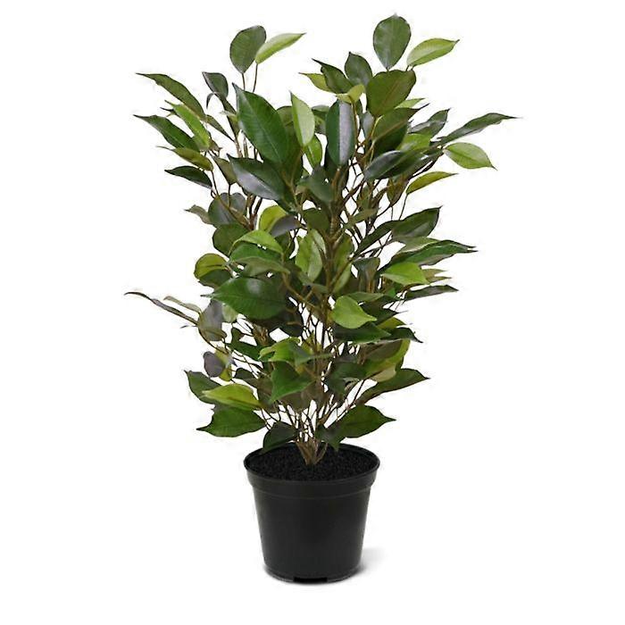 Artificial Ficus (40 cm)