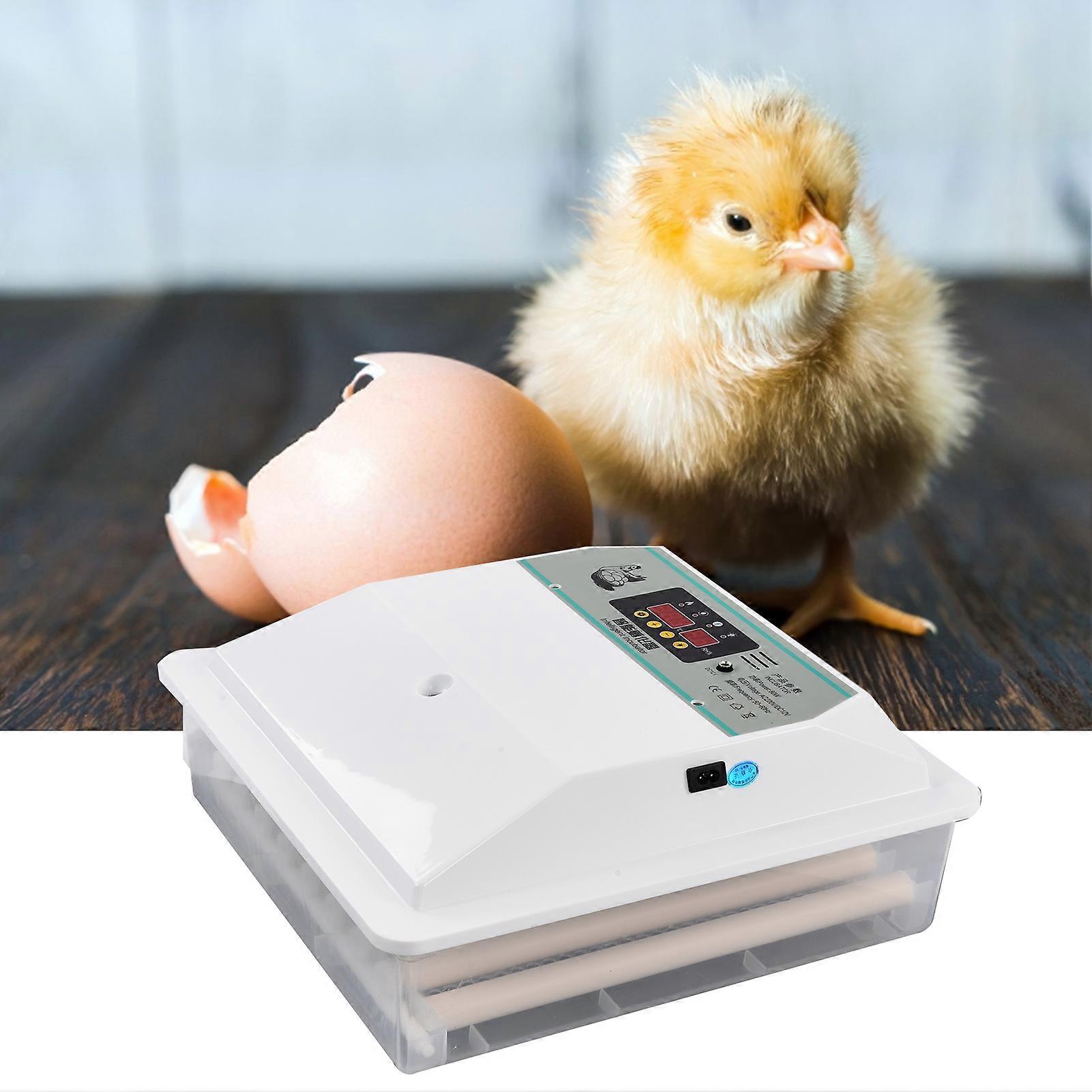 Intelligent Fully Automatic 4-Channel Egg Incubator CN DC12V