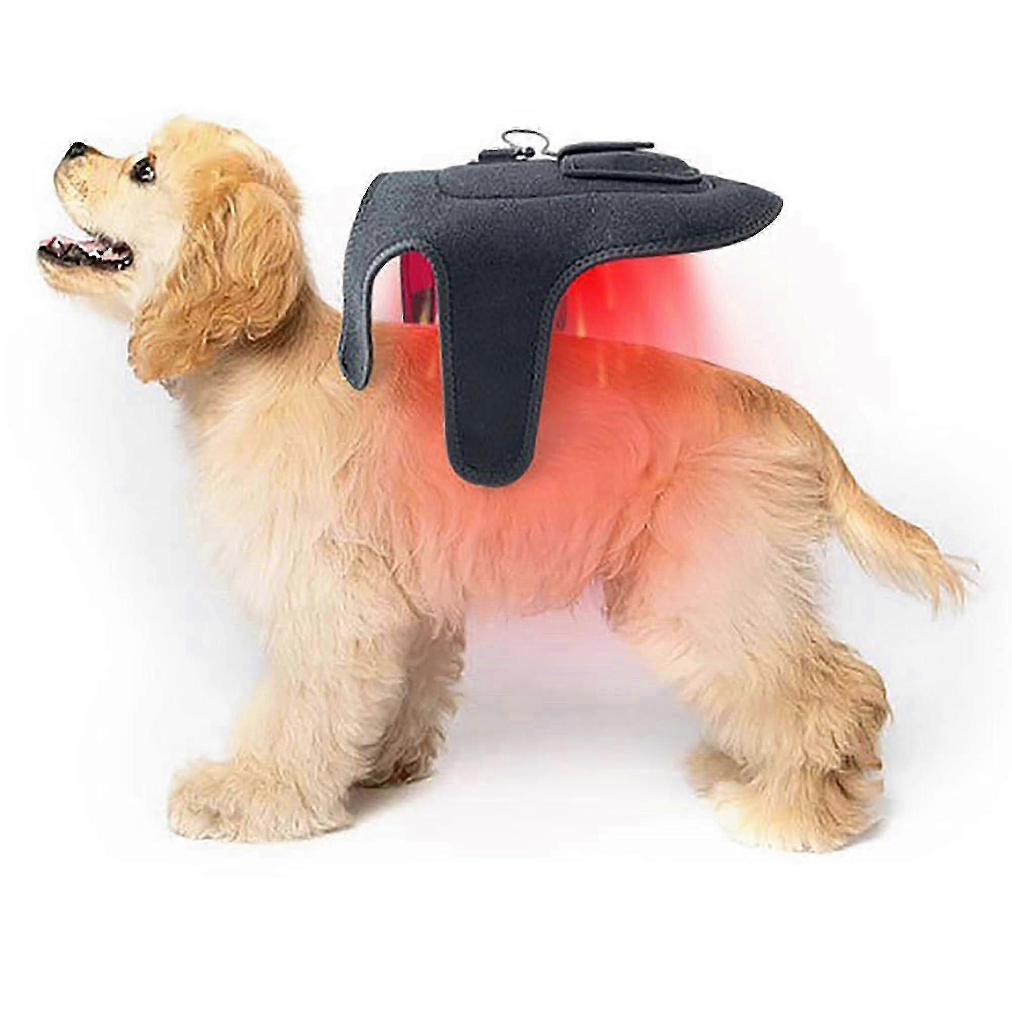 Rødt infrarødt lysterapibelte for hunder og katter - 42 LED-oppladbar enhet for smertelindring, sårheling og leddpleie Nytt