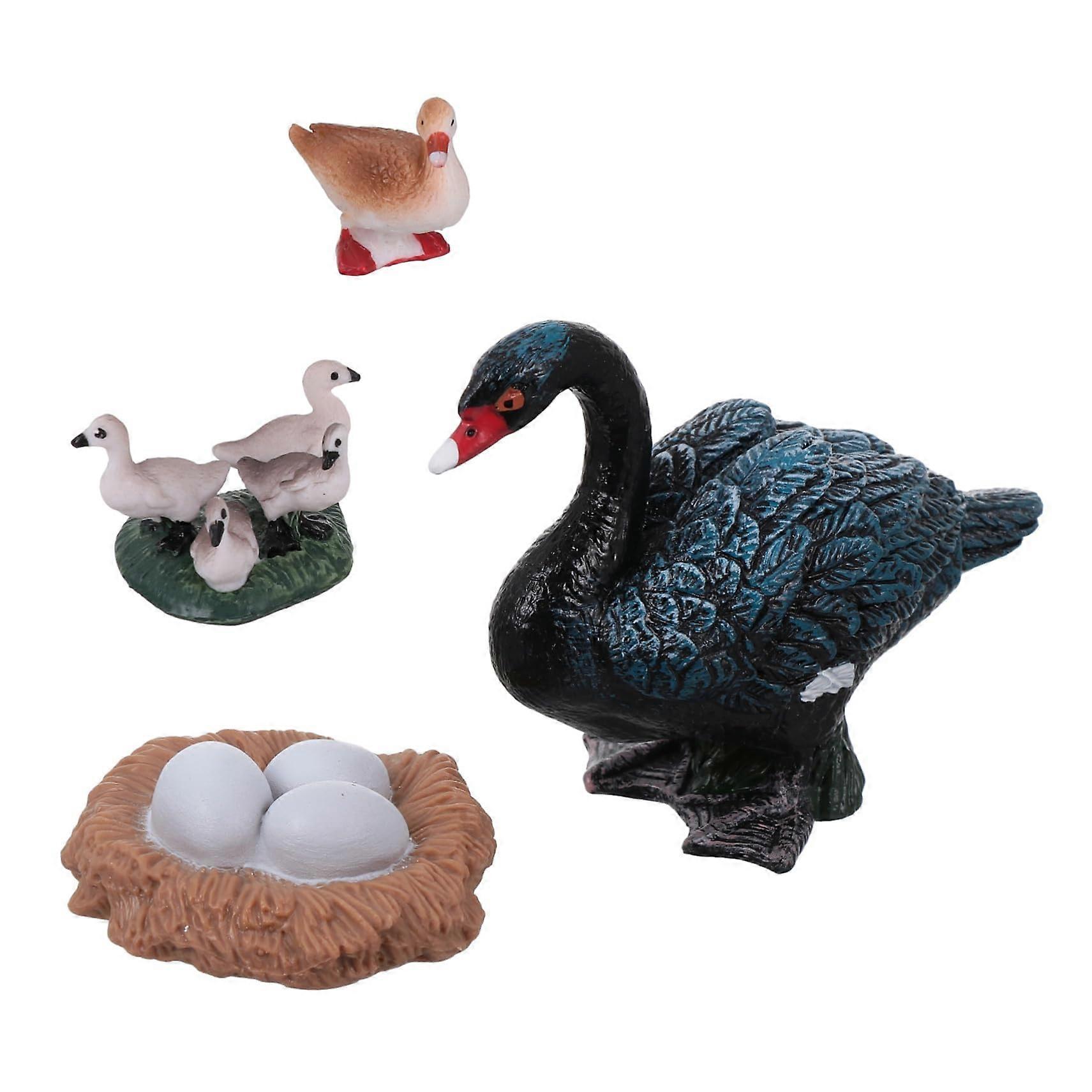 Animal Figurines Educational Life Cycle Set Durable Plastic Models for Teaching Biology