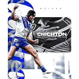 CANTERBURY BULLDOGS NRL RUGBY TEAM Jigsaw Puzzle Brain Teaser S1355
