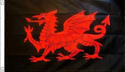 WALES FLAG HGD083